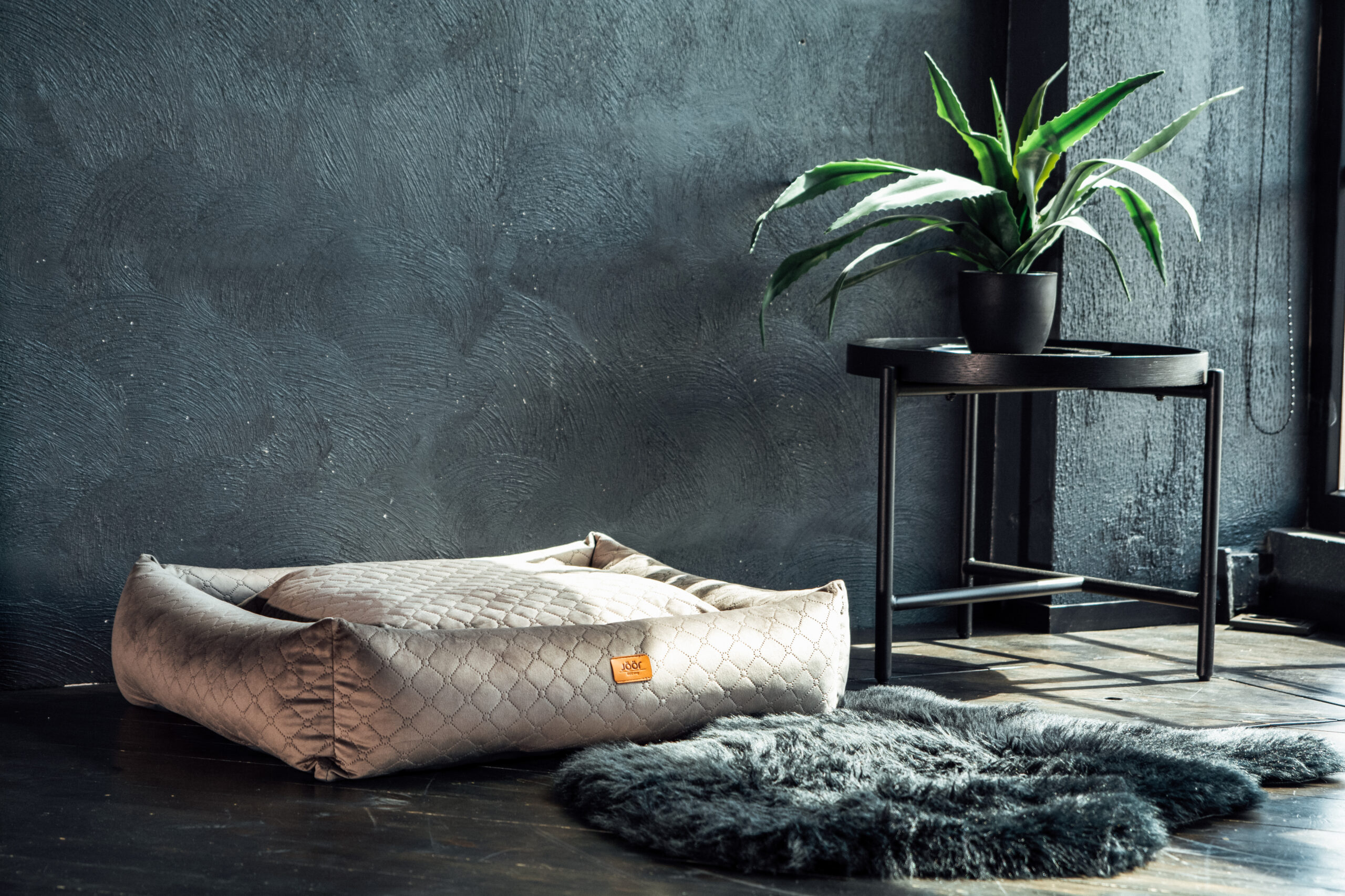 Diivan Vogue premium