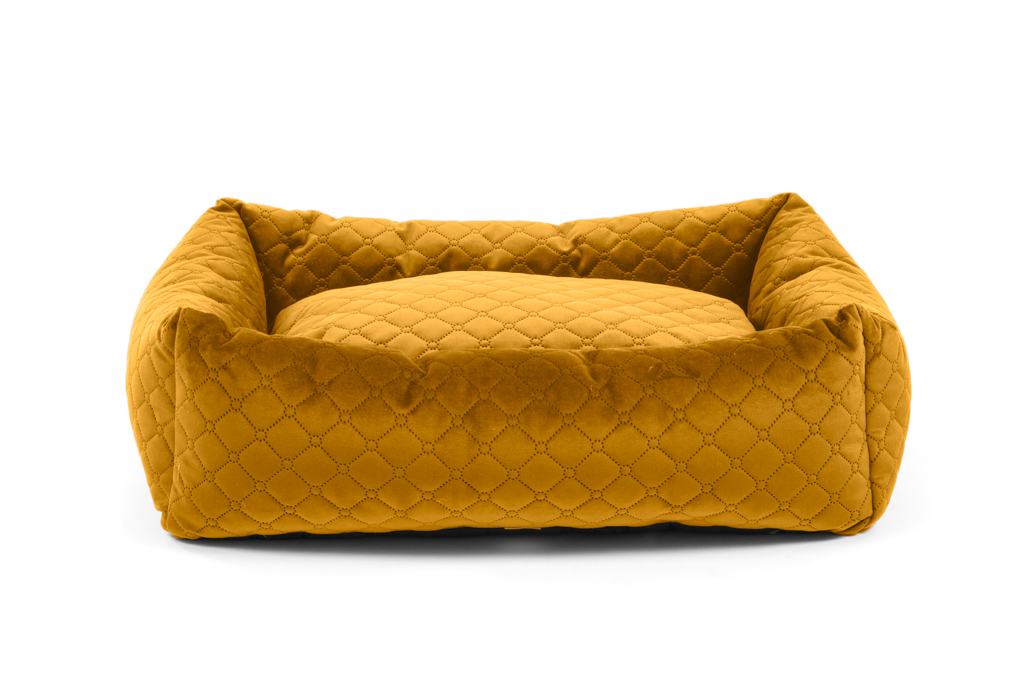 Diivan Vogue premium